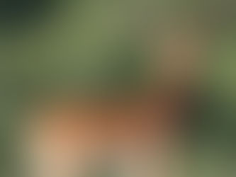 עכשיו זה לעולם - פרשת "וירא"