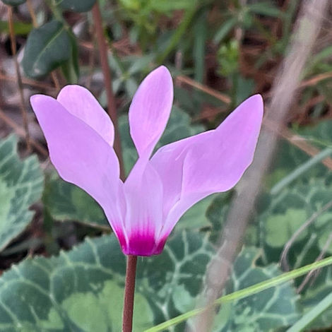 תניא אגרת התשובה - פרק ו'