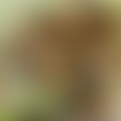 תניא פרק כד' -   זה לעומת זה...