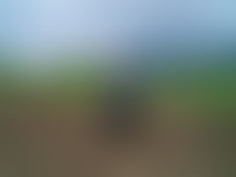 תניא פרק לז' - בין שמיים לארץ