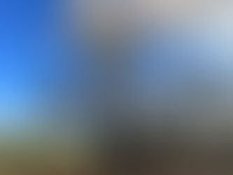 עץ חיים למחזיקים בה