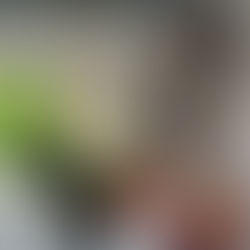 חוכמה שבתוך הלב - פרשת "ויקהל"