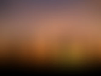 רקמה אנושית אחת - פרשת "משפטים"