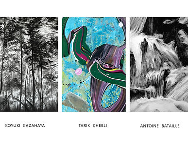 FULGURANCE DE NATURE