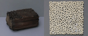 115923_96_imgdmd_hamada shinjo copy.gif