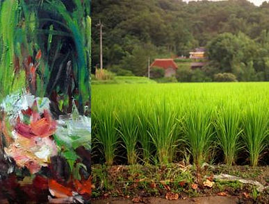 PAYSAGES DU JAPON