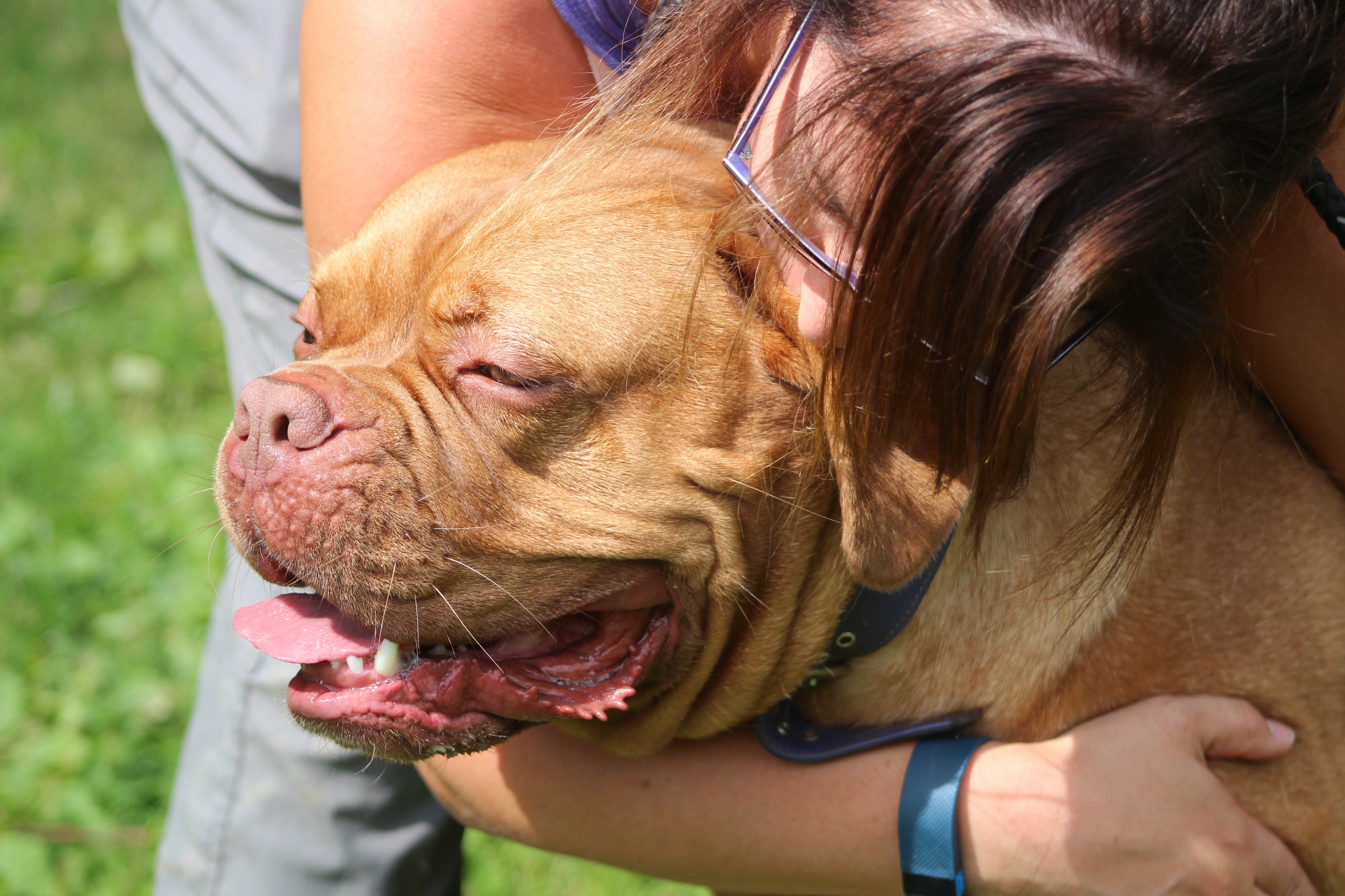 Home Naptha Boarding