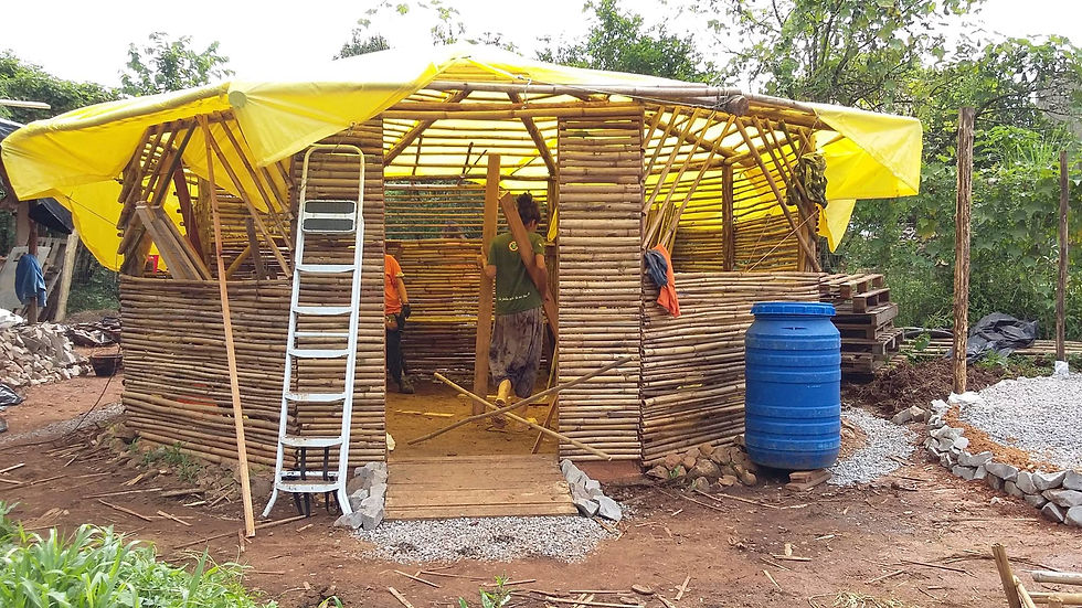 Bioconstrucción