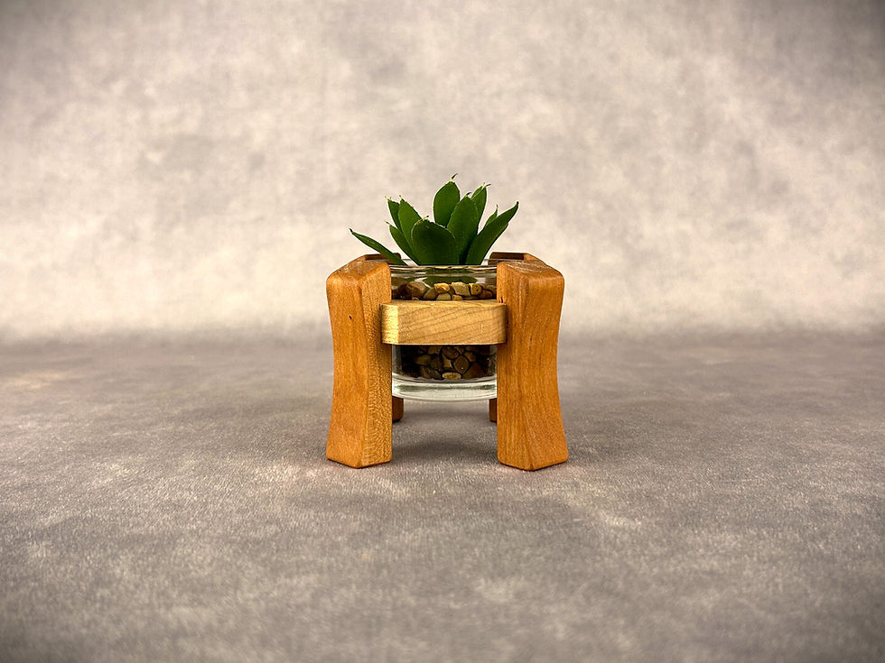 Succulent Pot - Cherry with Maple