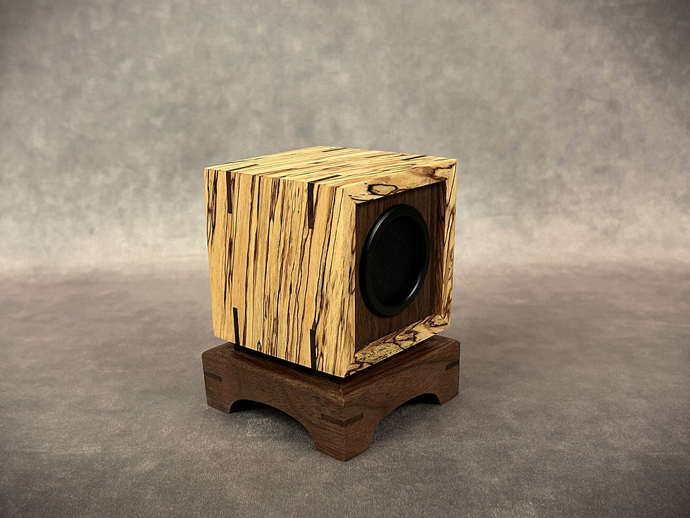 Shinden Bluetooth Speaker