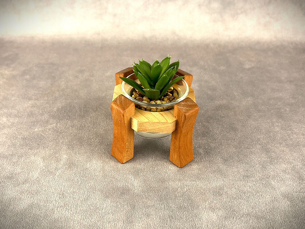 Succulent Pot - Cherry with Maple