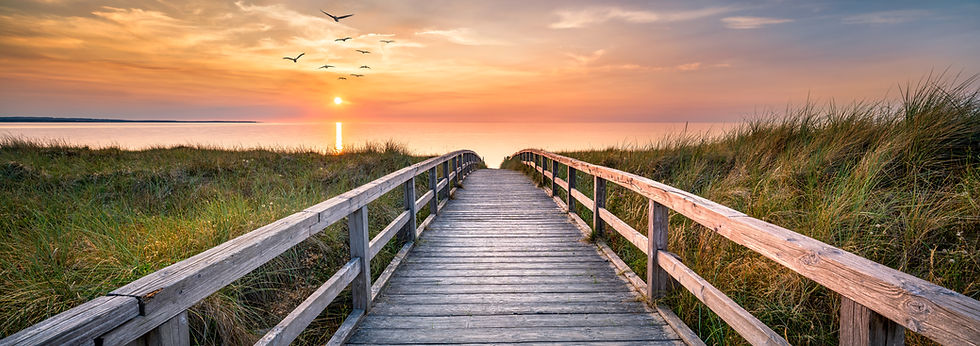 Panoramic view of dunes along the North Sea .jpg