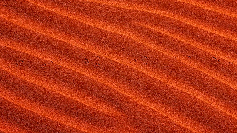 SABLE.jpg
