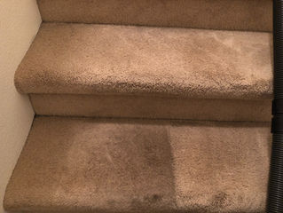 We love being your local carpet cleaning service.   Ask us why!  Call 907-378-1228. 