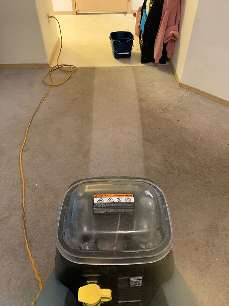 Carpet Steam Cleaning Fairbanks AK