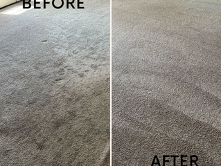 Is Your Carpet in Need of a Professional Touch?