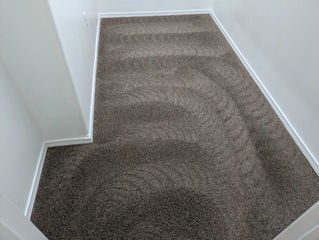 Top 10 Signs Your Carpet Needs a Professional Clean
