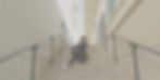 Header_edited.jpg