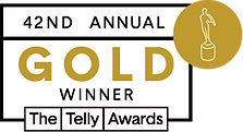 The Gold Winner of The Telly Awards given to SHE Did It Videography