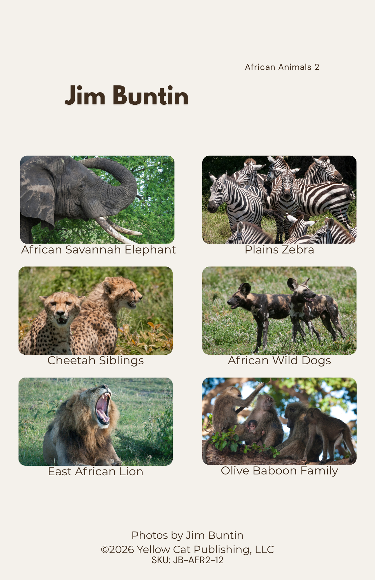 African Animals Set 2