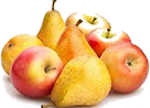 pommepoire2.png