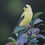 Thumbnail: Garden Treasure - 10"x8" Print
