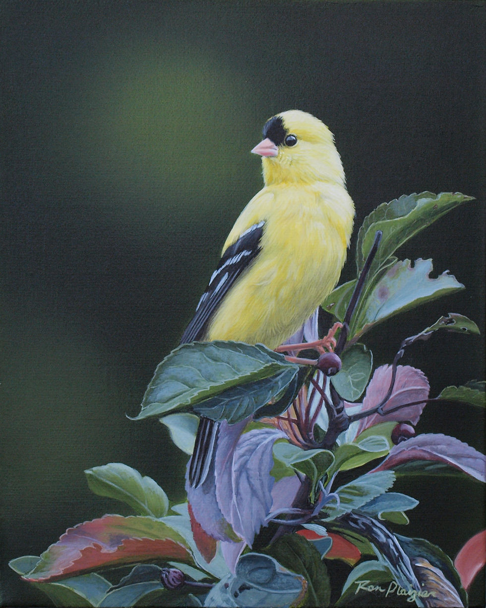 Garden Treasure - 10"x8" Print