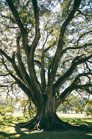 AdobeStock_162281734.jpeg