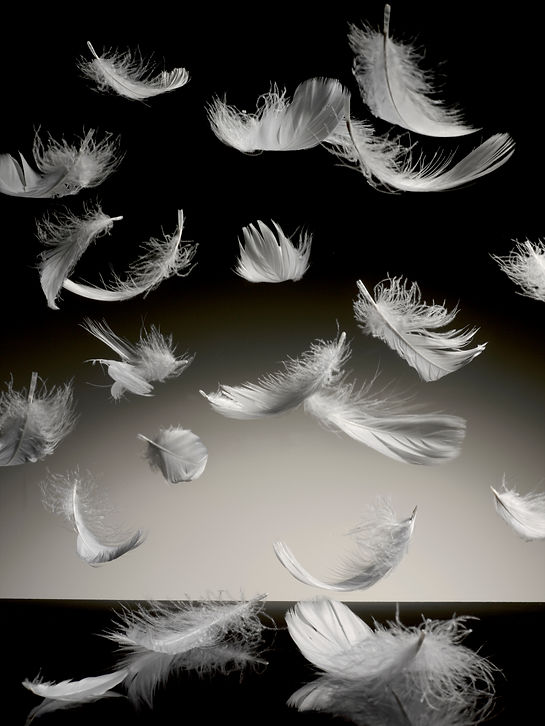 Feathers floating down