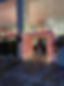 IMG_0402.jpeg