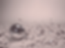 Untitled design.png