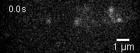 6 - 3_Movie S3 SM example trajectories OCR-2.gif