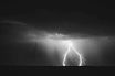 selective focus photography of thunder_edited_edited.jpg