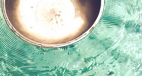 357250678_3504287663176694_4276979970570587067_n_edited_edited_edited_edited_edited.png