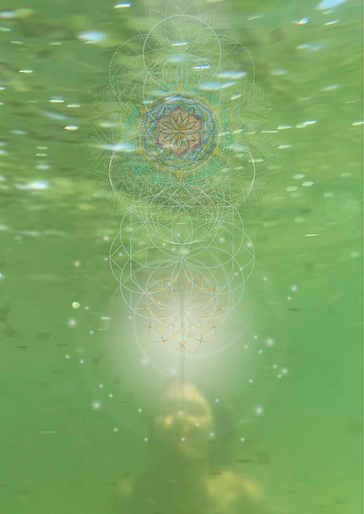 Untitled design-21.png