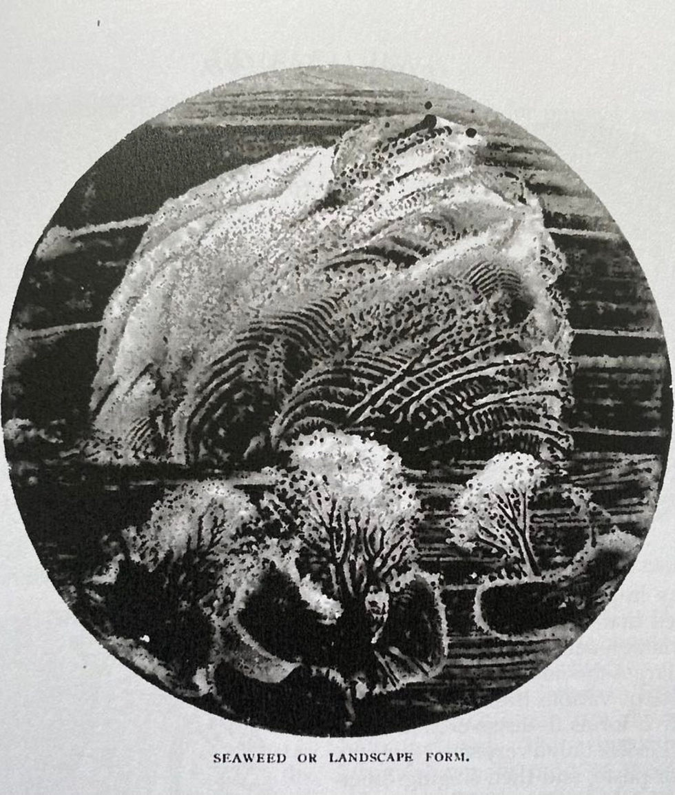 Voice Figure: Seaweed or Landscape Form (1891) Created by Margaret Watts Hughes using her singing voice and the Eidophone, an instrument she invented to make sound visible. From The Eidophone: Voice Figures Geometrical & Natural Forms Produced by Vibrations of the Human Voice.