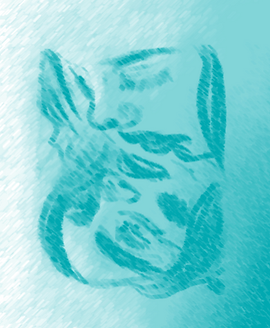 The Original Mirror.png