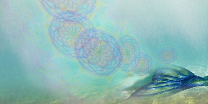 Cymatic_Tail_edited.jpg