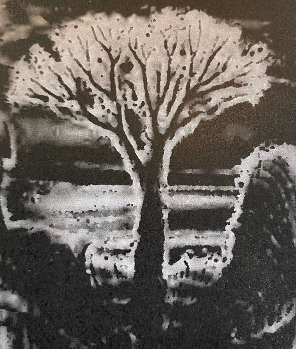 Voice Figure: Tree Form (1891) Created by Margaret Watts Hughes using her singing voice and the Eidophone, an instrument she invented to make sound visible. From The Eidophone: Voice Figures Geometrical & Natural Forms Produced by Vibrations of the Human Voice.