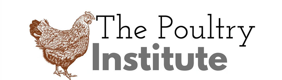 Captura de pantalla 2026-02-20 a la(s) 8