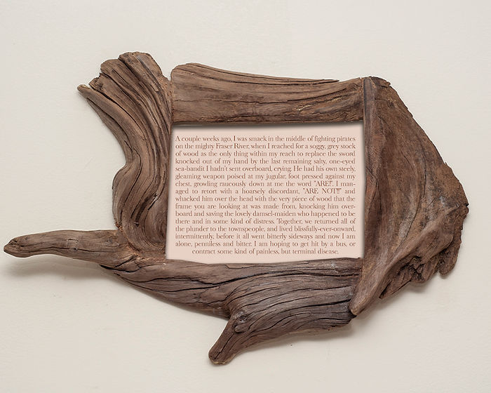 6x8 funky driftwood frame with story text