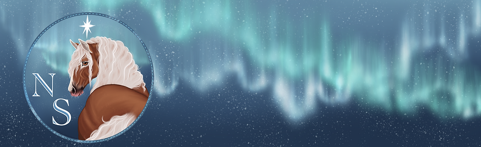 Untitled_Artwork_3.png