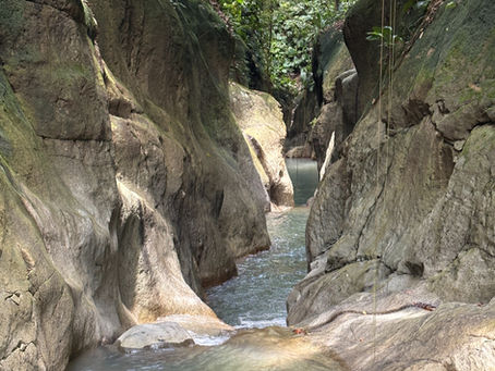 Canyon Grande Plaine Guadeloupe