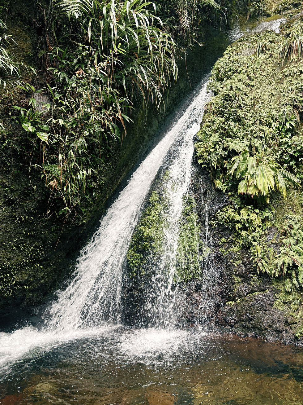 Miniature : 🤫📍 Cascades Ravine Longueteau  - Trace Vérifiée sur le Terrain