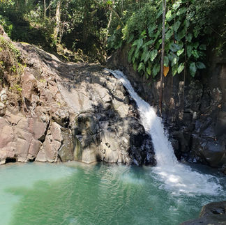 Bassin turquoise du Saut d'Acomat à Pointe-Noire Guadeloupe avec cascade et végétation tropicale lux