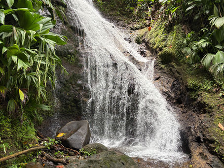 Ravine Gras Voile de la Mariée