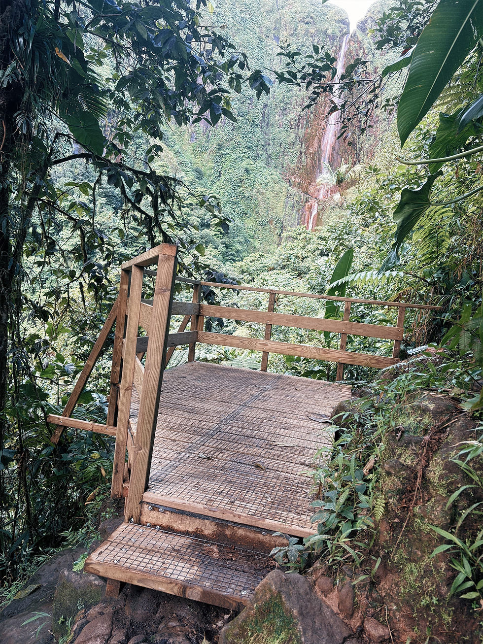 Miniature : 📍 First Carbet Waterfall - Field-Tested Track