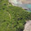 Thumbnail: 📍Souffleur + Plage Anse Colas - Trace Vérifiée sur le Terrain