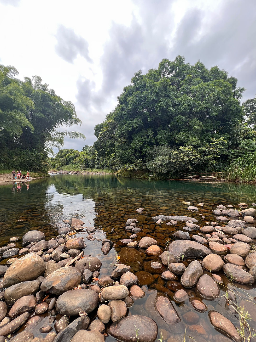 Miniature : 🤫📍 Bassin secret en Guadeloupe - Trace Vérifiée sur le Terrain