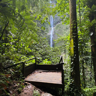 Passerelle d'observation offrant une vue panoramique sur la cascade de Moreau